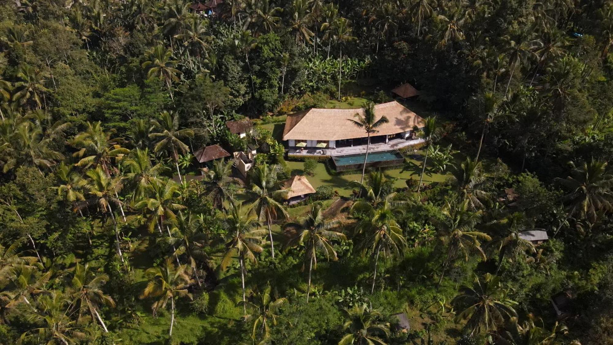 Villa Themma Jungle - Sumptuous 3Br Luxury Villa With Majestic Jungle View North Of Ubud Dış mekan fotoğraf