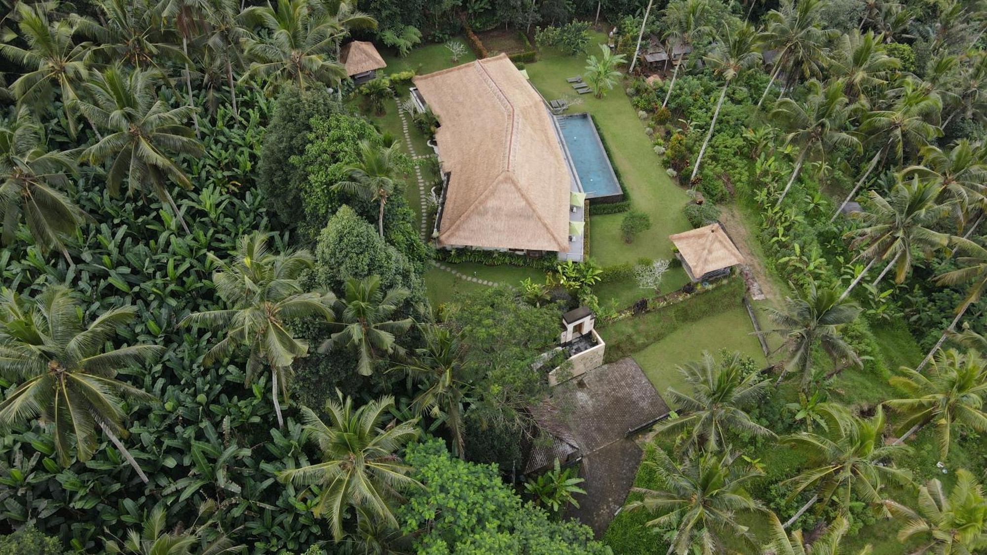 Villa Themma Jungle - Sumptuous 3Br Luxury Villa With Majestic Jungle View North Of Ubud Dış mekan fotoğraf