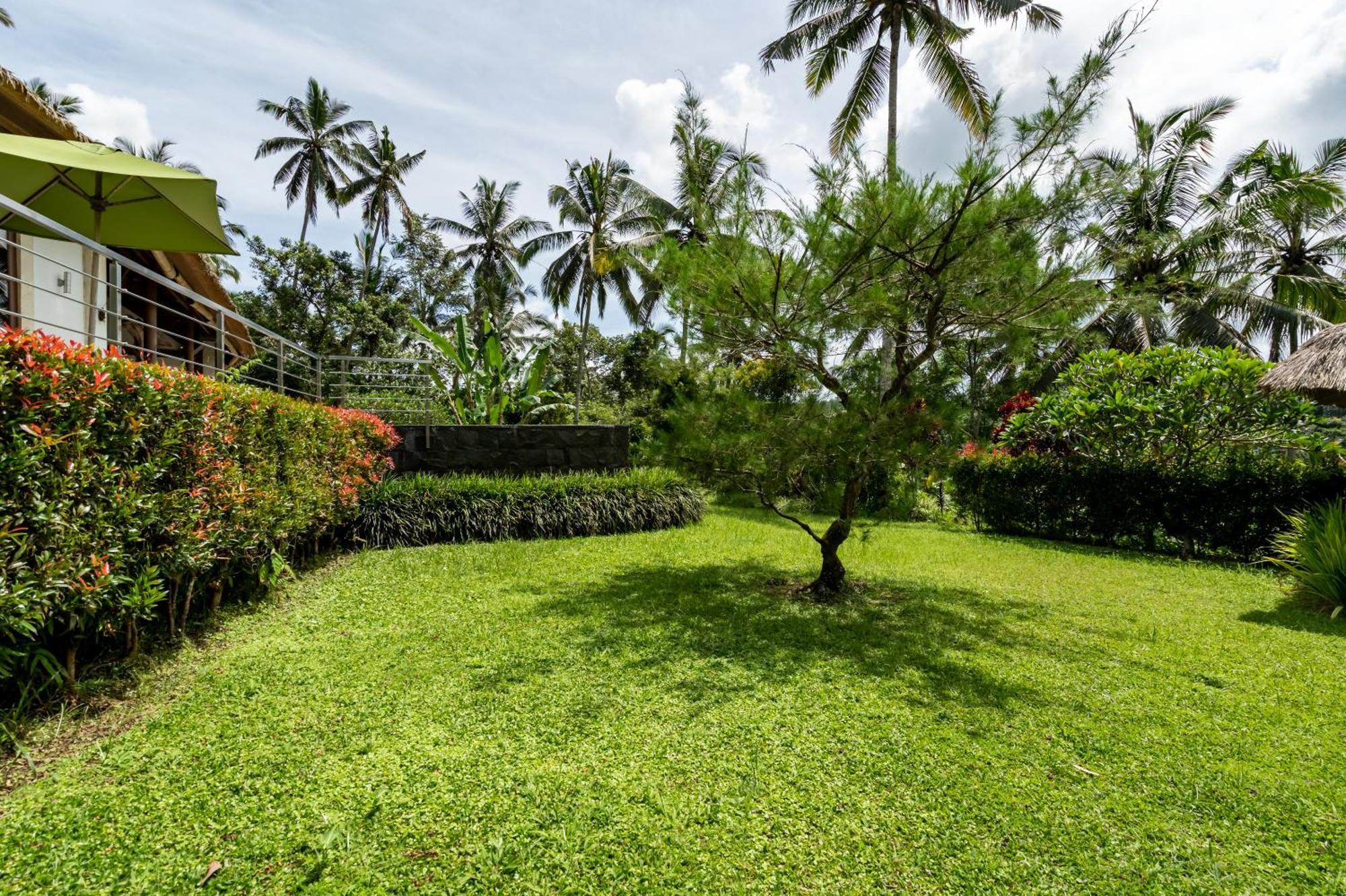 Villa Themma Jungle - Sumptuous 3Br Luxury Villa With Majestic Jungle View North Of Ubud Dış mekan fotoğraf