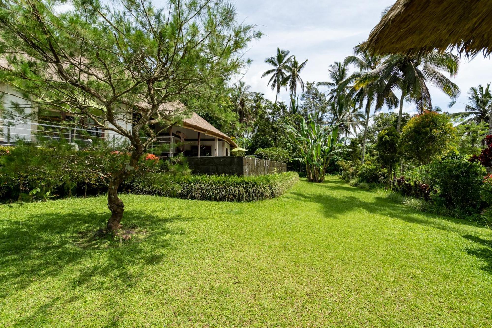 Villa Themma Jungle - Sumptuous 3Br Luxury Villa With Majestic Jungle View North Of Ubud Dış mekan fotoğraf
