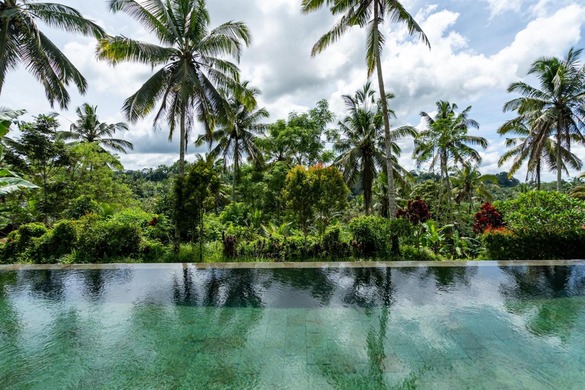 Villa Themma Jungle - Sumptuous 3Br Luxury Villa With Majestic Jungle View North Of Ubud Dış mekan fotoğraf